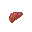 human_liver.png