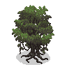 alt=Image of a tree